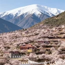 甘孜旅游 缩略图 1
