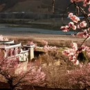甘孜旅游 缩略图 2
