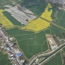 黄山旅游 缩略图 9
