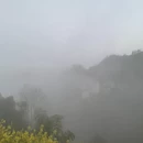 黄山旅游 缩略图 4