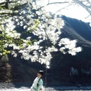 阿坝旅游 缩略图 1