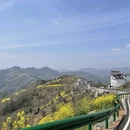 黄山旅游 缩略图 15