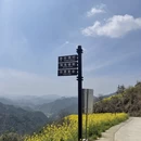 黄山旅游 缩略图 17