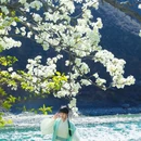 阿坝旅游 缩略图 7