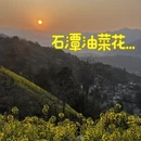 黄山旅游 缩略图 1