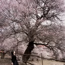 甘孜旅游 缩略图 12