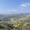 黄山旅游 缩略图 7