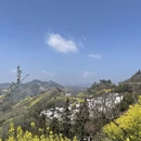 黄山旅游 缩略图 9