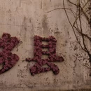 黄山旅游 缩略图 11