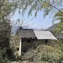 黄山旅游 缩略图 12
