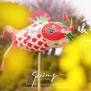 黄山旅游 缩略图 6