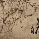 黄山旅游 缩略图 12