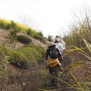 黄山旅游 缩略图 2