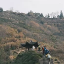 黄山旅游 缩略图 3