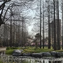 北京旅游 缩略图 8