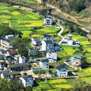 黄山旅游 缩略图 3