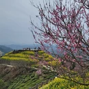 黄山旅游 缩略图 3