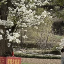 阿坝旅游 缩略图 6