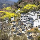 黄山旅游 缩略图 5
