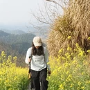 黄山旅游 缩略图 13
