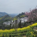 黄山旅游 缩略图 4