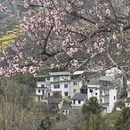 黄山旅游 缩略图 6