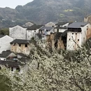 黄山旅游 缩略图 7