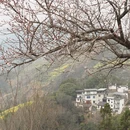 黄山旅游 缩略图 5