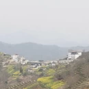 黄山旅游 缩略图 6
