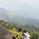 黄山旅游 缩略图 7
