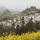 黄山旅游 缩略图 8
