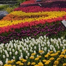 北京旅游 缩略图 6