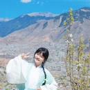 阿坝旅游 缩略图 14