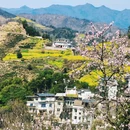 黄山旅游 缩略图 1