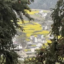 黄山旅游 缩略图 3