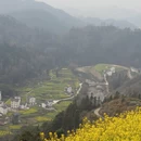 黄山旅游 缩略图 9