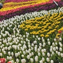 北京旅游 缩略图 7