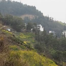 黄山旅游 缩略图 11