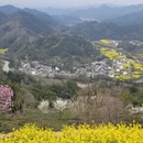 黄山旅游 缩略图 5