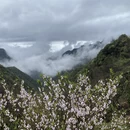 黄山旅游 缩略图 10