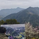 黄山旅游 缩略图 13
