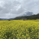 黄山旅游 缩略图 12