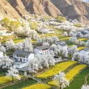 阿坝旅游 缩略图 3