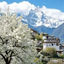 阿坝旅游 缩略图 4