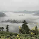 黄山旅游 缩略图 3