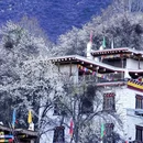 阿坝旅游 缩略图 8