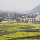 黄山旅游 缩略图 3