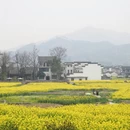 黄山旅游 缩略图 2