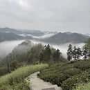 黄山旅游 缩略图 2