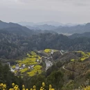 黄山旅游 缩略图 5
